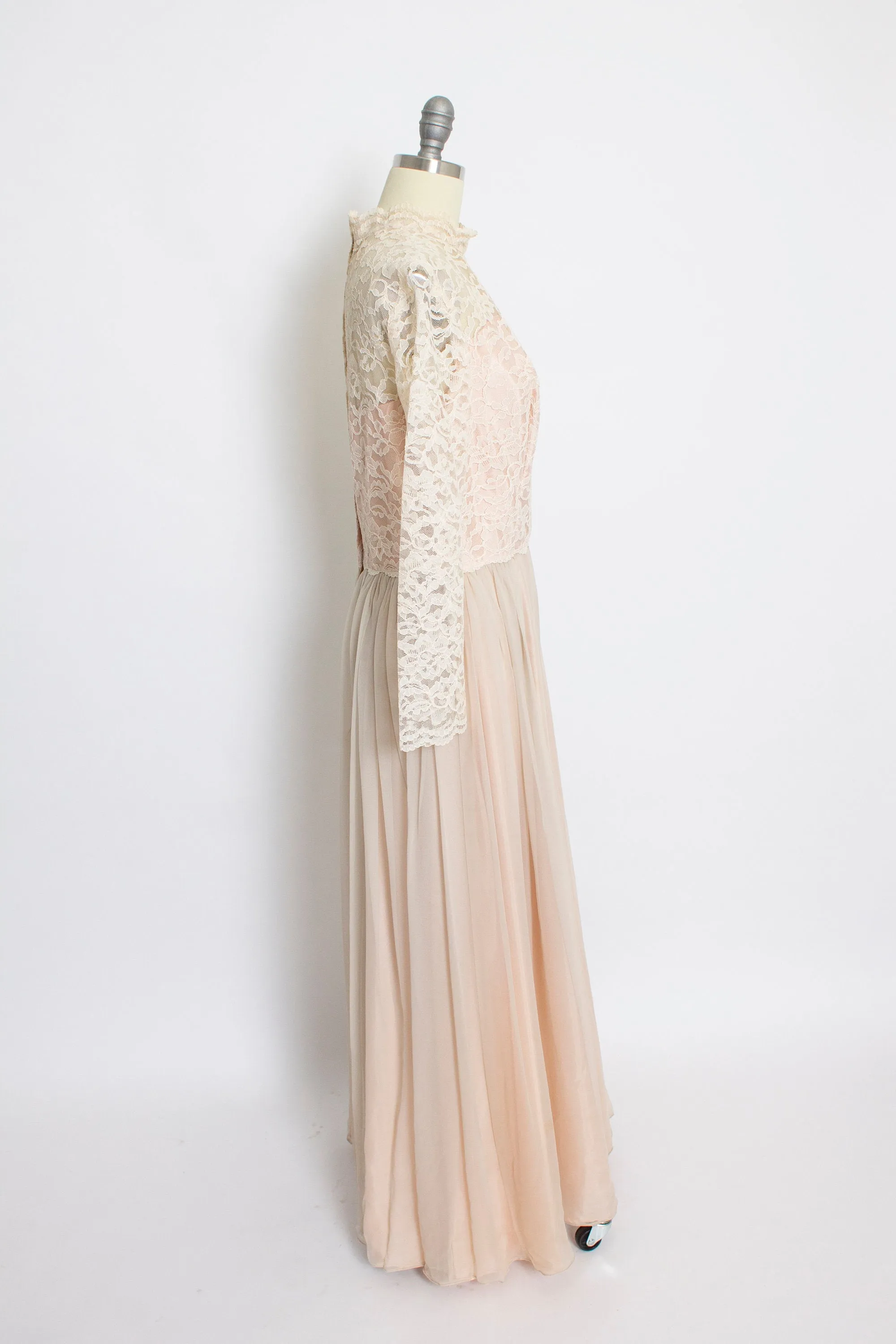 1960s Dress Nude Chiffon Lace Illusion Maxi GownMedium