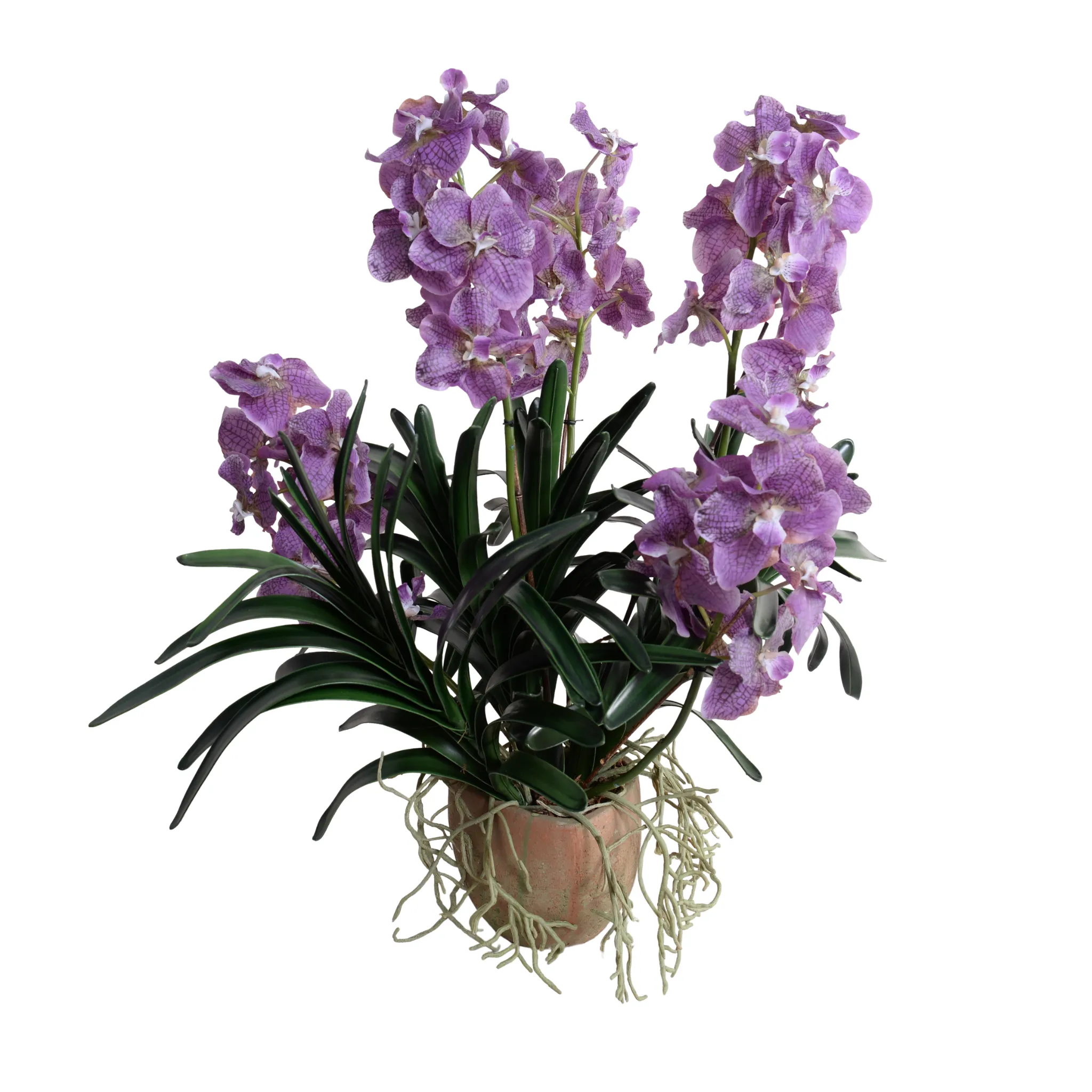 29" Faux Vanda Orchid in Terracottta