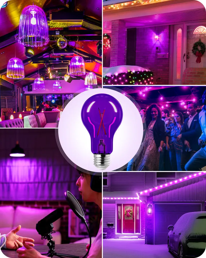 4 Pack Dimmable Purple Light Bulb-HDCF19A