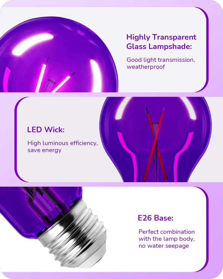 4 Pack Dimmable Purple Light Bulb-HDCF19A