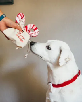 Cheerful Candy Canes Toy