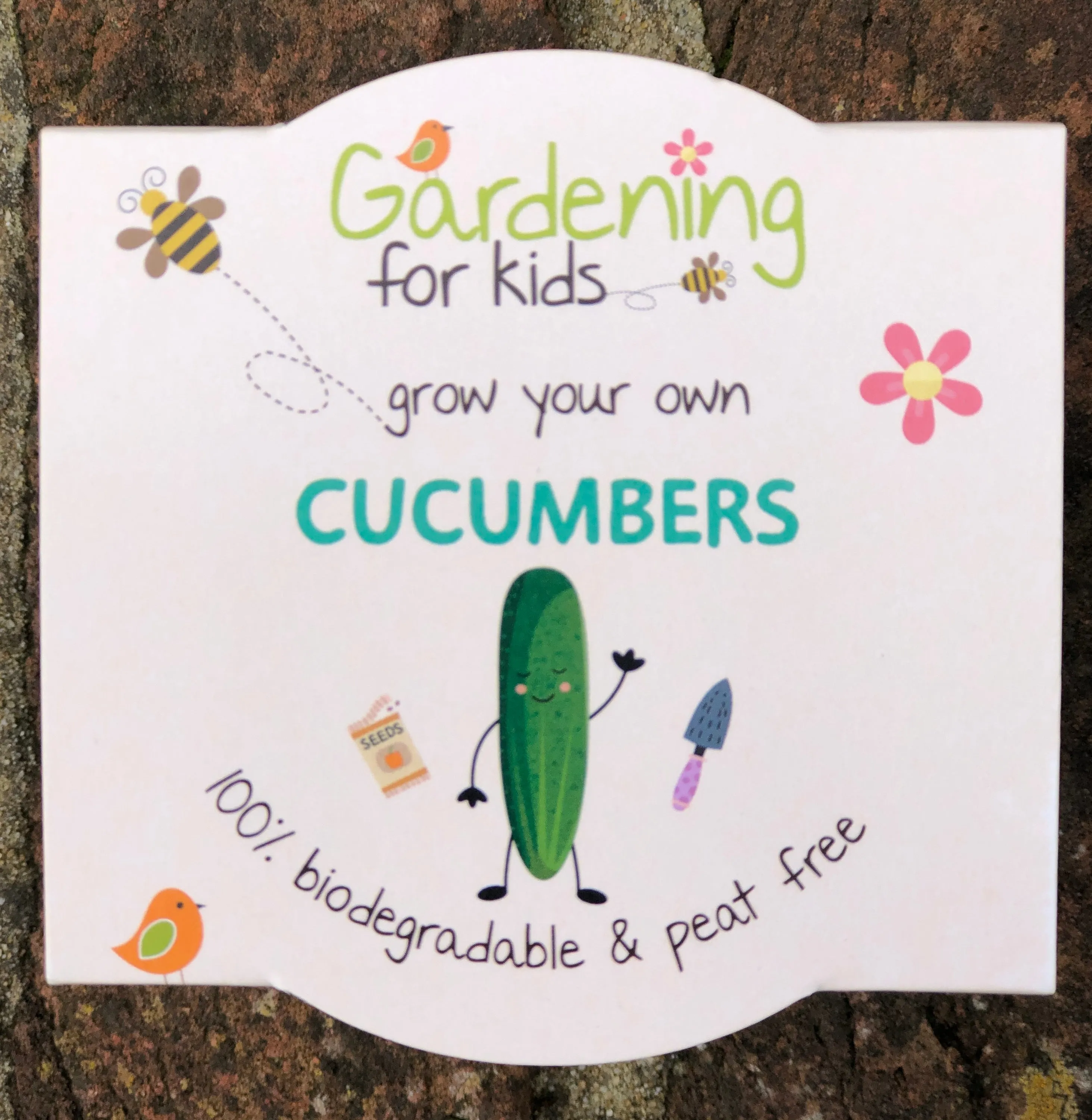 Cucumber Growing Kit with Pot