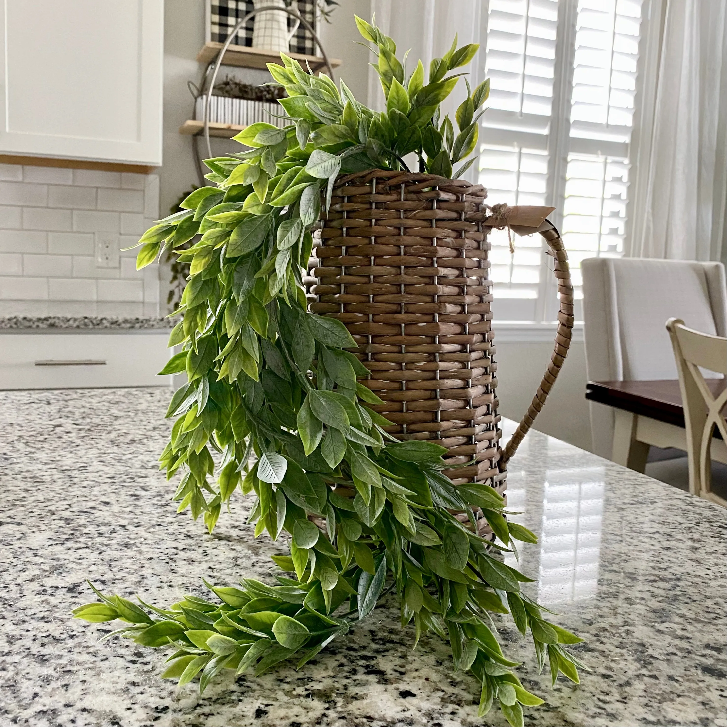 Hanging Rainwashed Vine