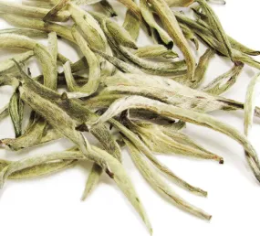 Jasmine Silver Needle, Organic