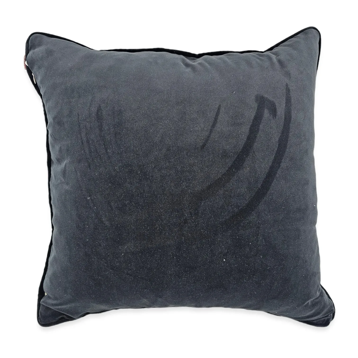 Set of 2 Cushions 50x50 PS26