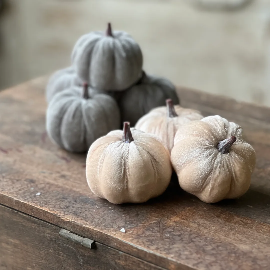 Set/7 Velveteen Pumpkins