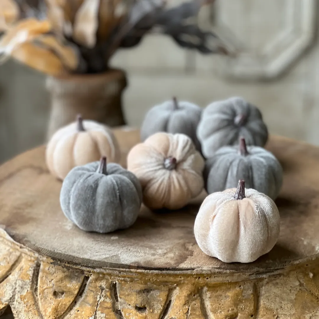 Set/7 Velveteen Pumpkins